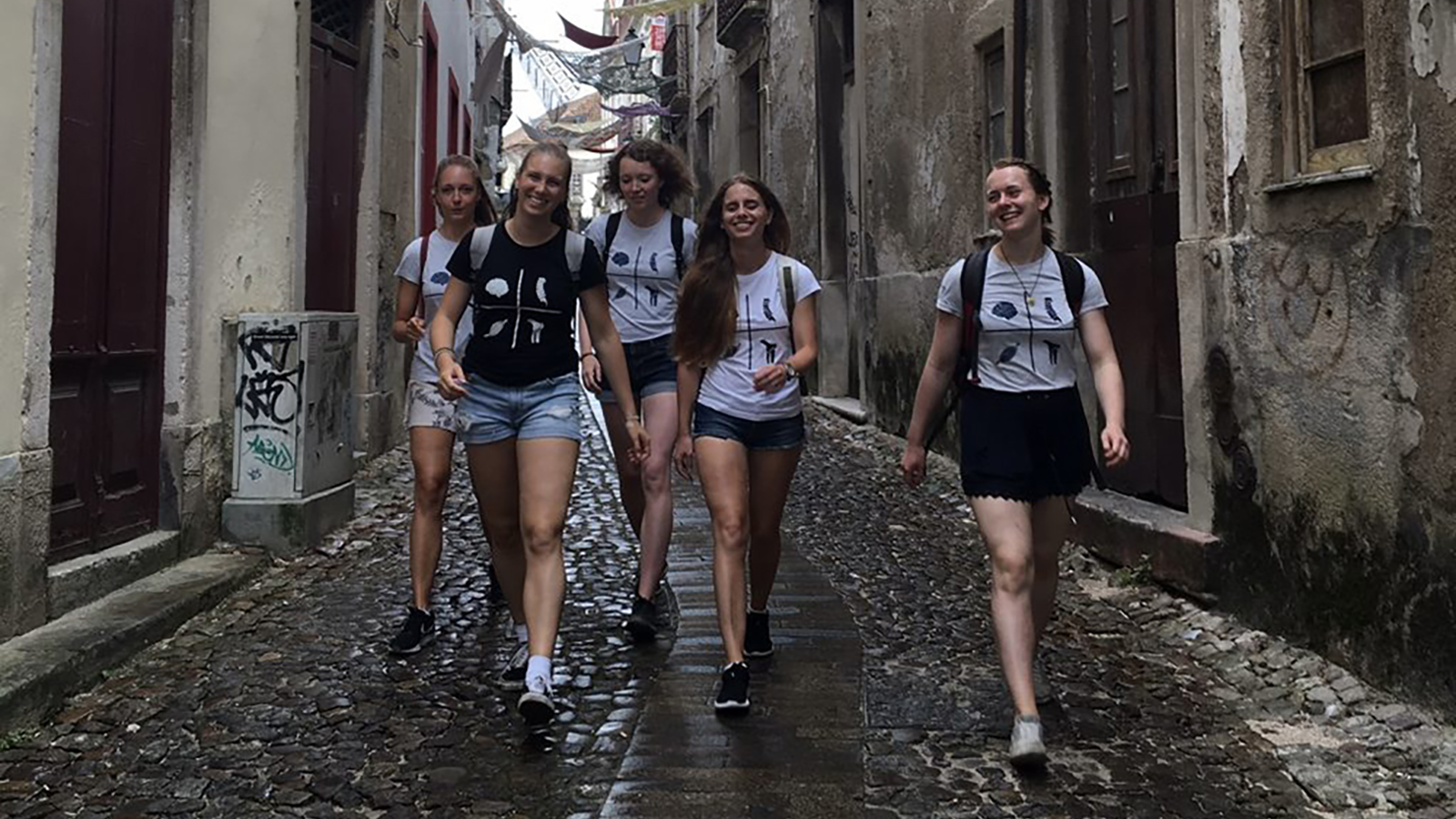 Stáže - web eng verze